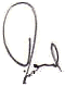 David King